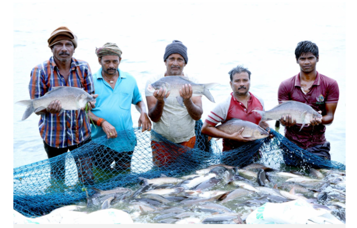 Kế hoạch phát triển ngành thủy sản của Ấn Độ